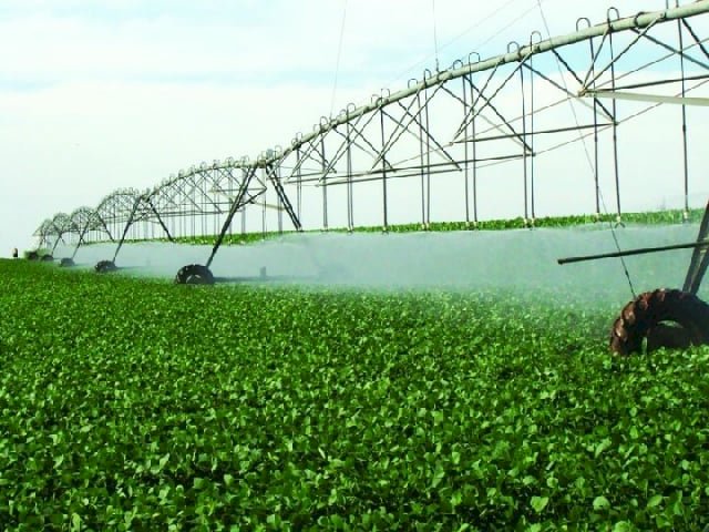 Em 37 anos, áreas de culturas irrigadas cresceram 3,8 vezes