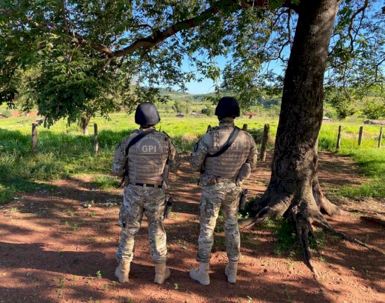 PF investiga tráfico de indígenas para trabalharem em lavouras de maconha na fronteira de MS