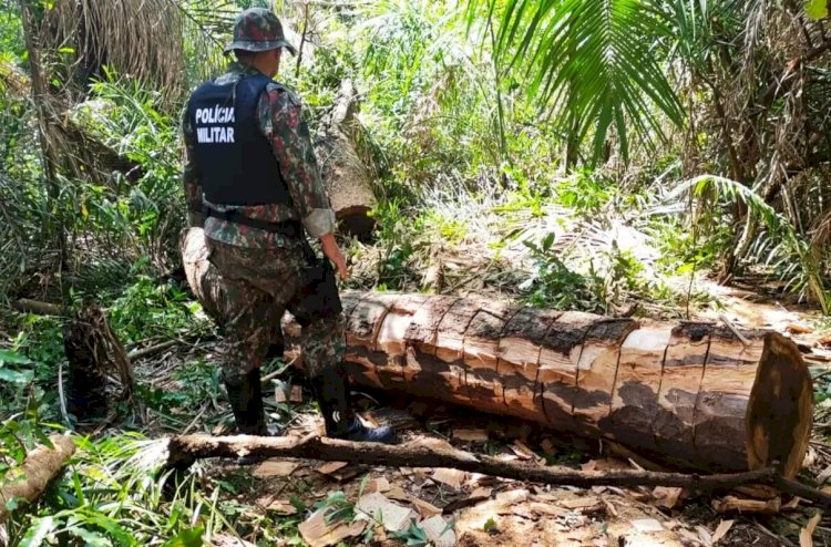 PMA Ambiental autua 1.038 infratores e aplica R$ 23,6 milhões em multas em 2022