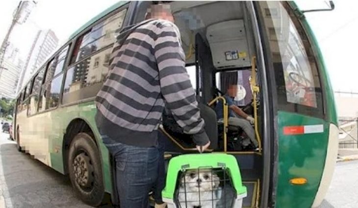 Agência orienta passageiros sobre transporte de pets em ônibus intermunicipal