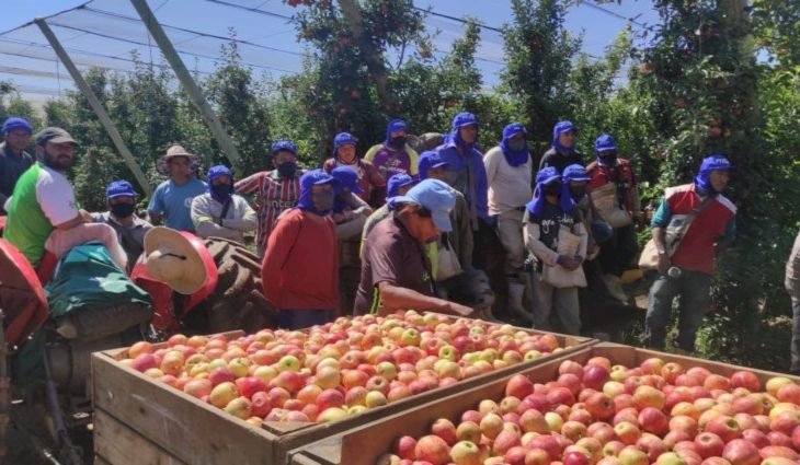 Semana começa com 4 mil vagas de trabalho; confira