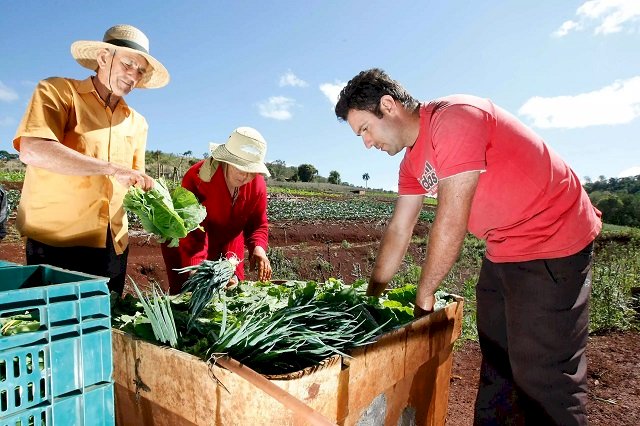 Governo prorroga prazo para cadastro na Agricultura Familiar