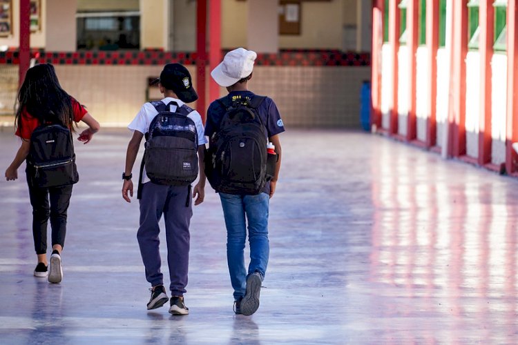 Votação dos Planos de Gestão Escolares começa neste domingo nas escolas estaduais de SC