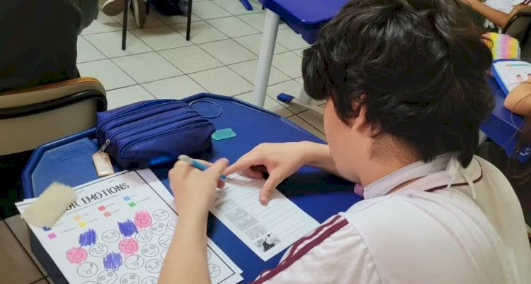 Em um ano, 200 mil alunos com autismo foram matriculados em escolas comuns; falta de apoio a professores ainda é obstáculo