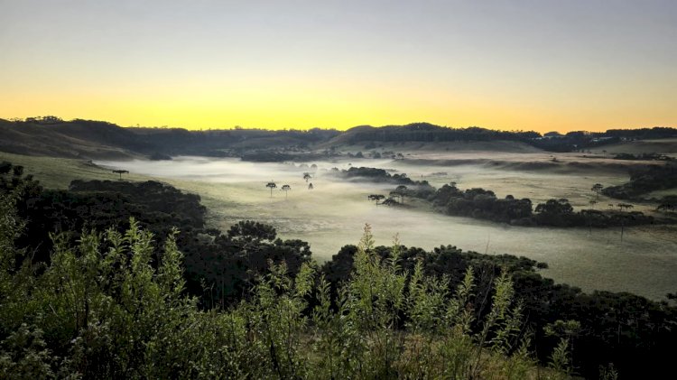 Primeira geada do ano em SC é registrada no Vale Caminhos da Neve na Serra Catarinense