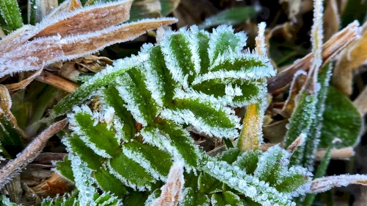 Com avanço de nova frente fria, capitais devem ter queda de até 14°C nos próximos dias