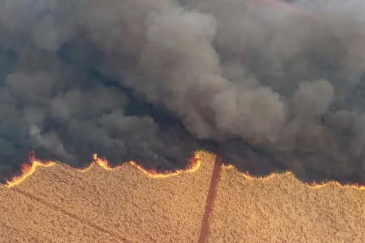 Dados exclusivos mostram que de maio a agosto, 16 estados e o Distrito Federal nunca enfrentaram uma estiagem tão severa desde os anos 80.