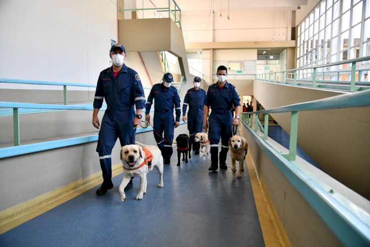 Cães do Corpo de Bombeiros Militar de Santa Catarina levam alegria a crianças em tratamento no Hospital Infantil Joana de Gusmão