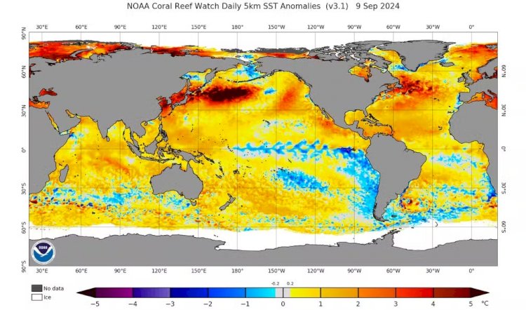 La Niña, fenômeno que pode ajudar a diminuir calor atual, tem 60?chance de ocorrer